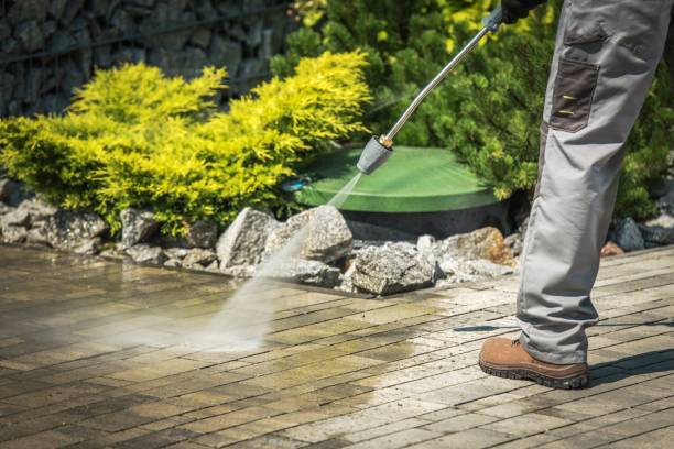 Best Winterizing Services  in Potterville, MI