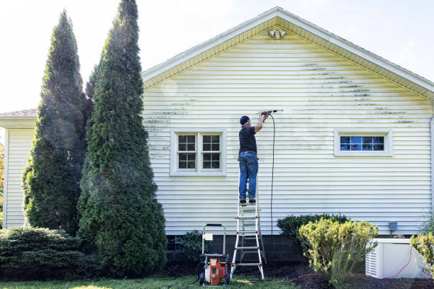 Professional Pressure Washing Services in Potterville, MI