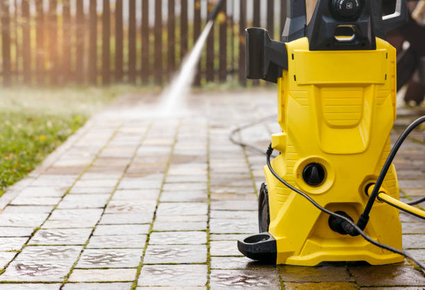 Best Gutter Cleaning  in Potterville, MI